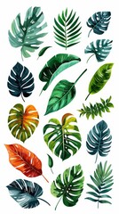 Wall Mural - Collection of tropical jungle leaves featuring vibrant green, teal and orange colors, perfect for adding a touch of nature to any design