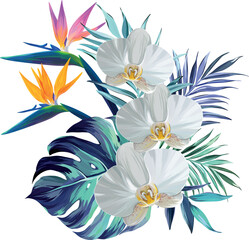 Wall Mural - Bouquet of tropical flowers. Hibiscus, paradise flowers. exotic, tropical