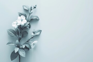 Wall Mural - Monochrome flowers against plain background, simplicity and eleg