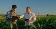 © StockMediaSeller - Two farmers working in a field, using a laptop and a tablet. Technology in agriculture