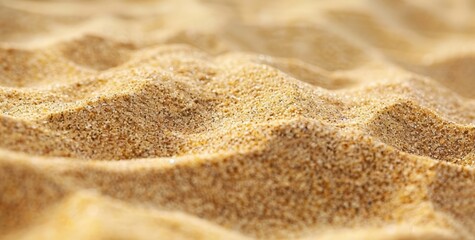 Wall Mural -  Sand and Sea Shells at Low Tide: A Close-Up View of a Beach