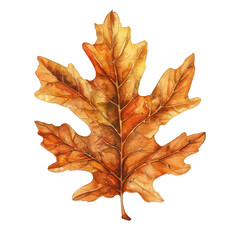 Wall Mural - A watercolor painting of a leaf with a brown stem