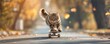 © Влада Яковенко - A playful cat riding a skateboard, its paws expertly maneuvering the board down a sunny street.