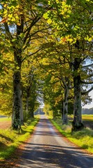 Wall Mural - Picturesque autumn view of a country road flanked by green and yellow trees, perfect for nature lovers