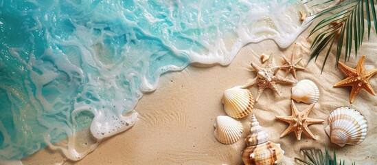 Wall Mural - Sea shells and palm trees on a sandy beach backdrop. Summer vibes