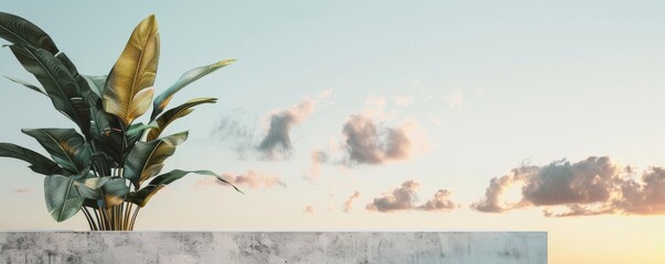 Wall Mural - Plants against concrete wall under a cloudy sky at sunset, modern minimalistic setup