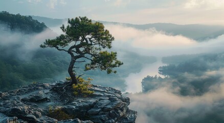 Wall Mural - A Lone Pine Tree Stands Tall on a Misty Mountain Ridge at Dawn