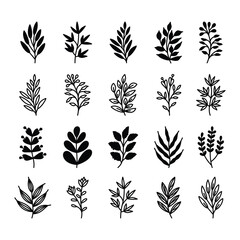 Wall Mural - Set of leaves illustration vector