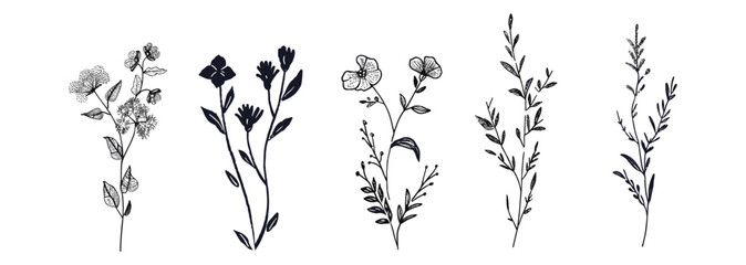 Wall Mural - Minimal botanical graphic sketch drawing, trendy tiny tattoo design, floral elements vector illustration, small tattoo ideas, botanical sketches for tattoos, minimalist floral vector art