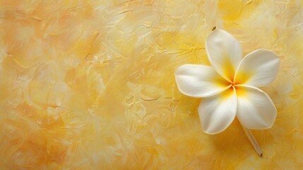 Wall Mural - Plumeria flower in white and yellow