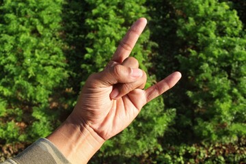 man hand gesturing rock and roll, heavy metal, devil horns gesture or I love you on natural landscape background.