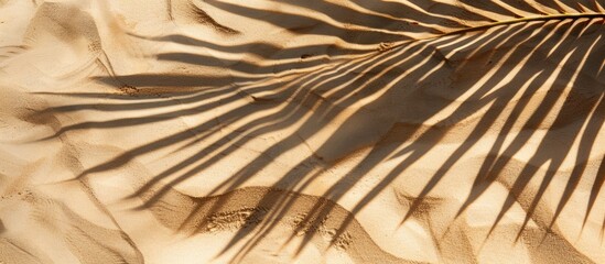 Poster - Beach sand texture with a shadow of a palm leaf. Space for text.