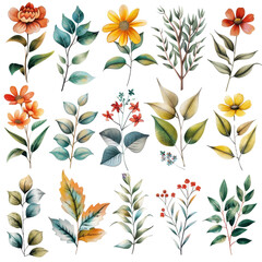 Wall Mural - Colorful hand-drawn floral illustrations featuring various flowers and leaves, perfect for art, design, and decoration projects.