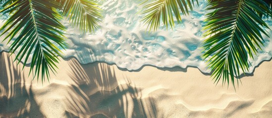 Wall Mural - Tropical Beach Summer Banner Featuring Sunlit Sand and Palm Fronds