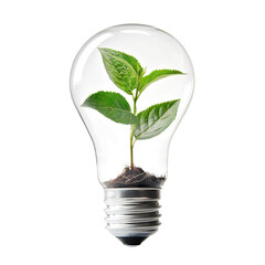 Green plant growing inside a light bulb, cut out