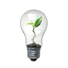 Green plant growing inside a light bulb, cut out