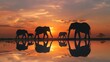 © Major - A beautiful image of a family of elephants walking at sunset, their silhouettes and reflections mirrored on the water, illustrating the serenity and majesty of nature.