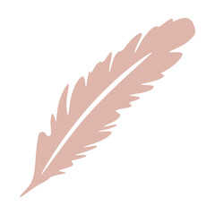 Wall Mural - A pink feather