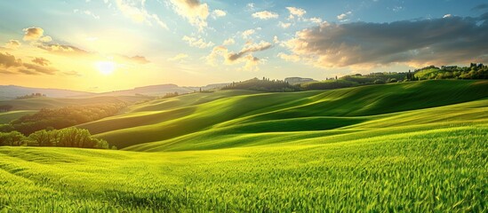 Wall Mural - Rolling Green Hills at Sunset