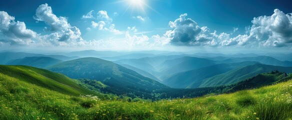 Wall Mural - Summer Day in the Carpathian Mountains
