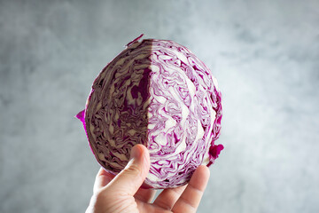 Wall Mural - A view of a hand holding a quarter of a red cabbage.