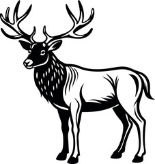 Wall Mural - A deer with antlers stands in front of a white background