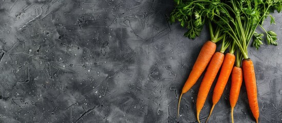 Wall Mural - Fresh carrots arranged on a gray stone surface from above. Ample room for text.