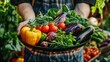 © Aziz - Hands holding big plate with different fresh farm vegetables. Autumn harvest and healthy organic food concept