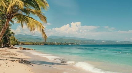 Canvas Print - A beautiful tropical beach featuring crystal clear blue waters, pristine white sand, and lush palm trees under a bright sunny sky.