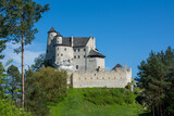 Fototapeta Tulipany - Średniowieczny zamek w Polsce. Warownia, twierdza. Zamek królewski. Castle in Poland