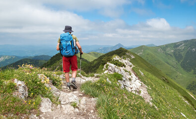 Wall Mural - hiker with trekking poles, backpack navigates rocky mountain trail on sunny day scenic background fe