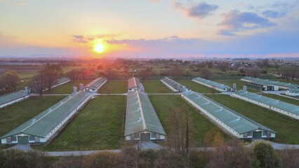 Aerial view over countryside poultry farm during beautiful sunset. Aerial