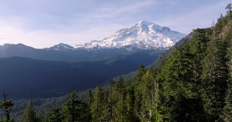 Wall Mural - Breathtaking Aerial View of Mount Rainier Over Lush Forest