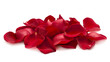 © mizan - Red rose petals isolated on a transparent background