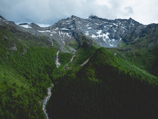 Wall Mural - Aerial view of beautiful grassland and forest mountain landscape