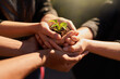 © Sanc/peopleimages.com - Farming, soil and hands of people with plant for growth, sustainability and eco friendly gardening. Agriculture, earth day and farmer with sprout in palm for agro environment, ecosystem and ecology