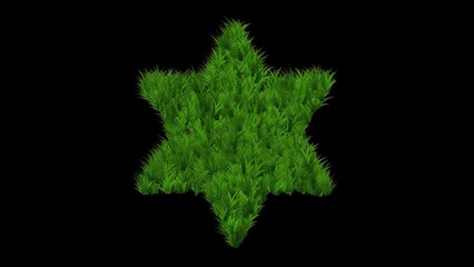 Wall Mural - Beautiful illustration of star shape with green grass on plain black background