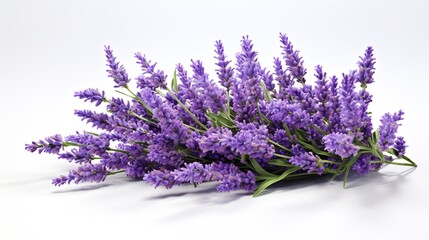 Poster - bunch of lavender