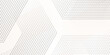 © MdLothfor - Abstract background wave line elegant white striped diagonal line technology concept web texture. Vector gradient gray line pattern Transparent monochrome striped texture, minimal background.