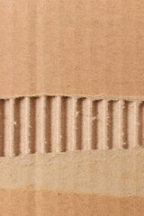 Wall Mural - tear brown cardboard box texture background, recycle material