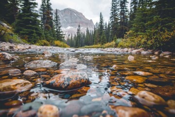 Wall Mural - A clear mountain stream with pebbles, with a soft background of tall pines and rugged terrain.