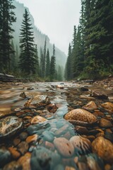 Wall Mural - A clear mountain stream with pebbles, with a soft background of tall pines and rugged terrain.