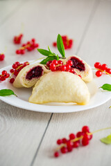 Wall Mural - steamed sweet homemade dumplings with berries, red currants