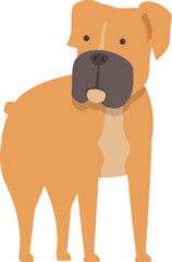 Wall Mural - Illustration of a brown and black boxer dog standing and looking forward