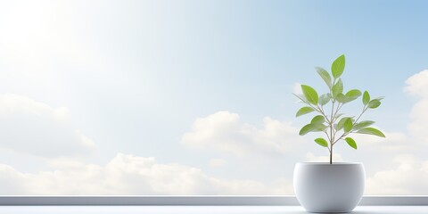 Wall Mural - White Pot on Window Sill Background, Sun Morning Mockup, House Windows Banner with Copy Space