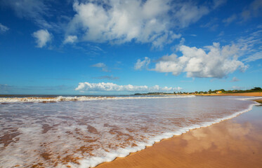 Canvas Print - Sandy beach