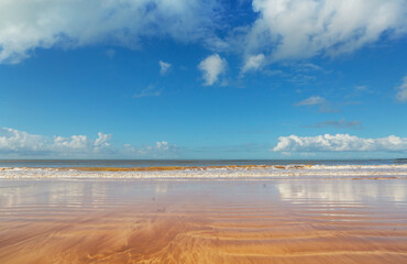 Wall Mural - Sandy beach