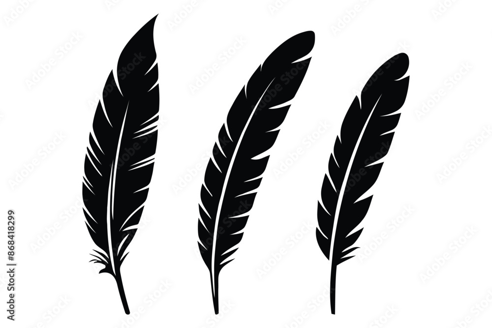 Set of Bird Feather Silhouette vector illustration black Silhouette ...