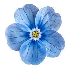 Aufkleber - High-resolution image of a vibrant blue forget-me-not flower, perfect for design projects