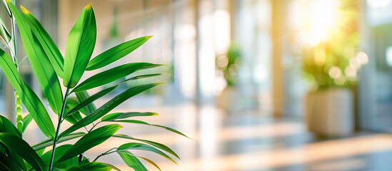 Wall Mural - bokeh office with focused on plant